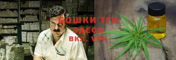 Альфа ПВП Белокуриха