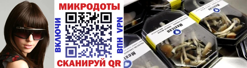 где найти   Фёдоровский  Галлюциногенные грибы Psilocybine cubensis 